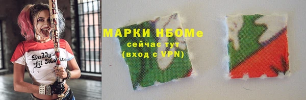 стаф Коряжма
