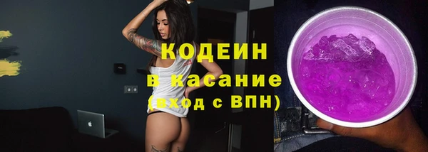 стаф Коряжма