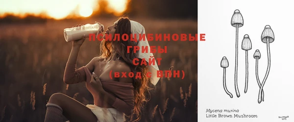 гидра Костерёво