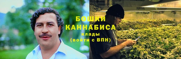 стаф Коряжма